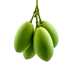 A bunch of green mangoes hanging freely on a white background. 