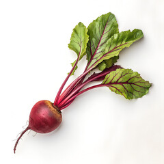 Fresh Red Beetroot with Green Leaves Isolated on White Background.