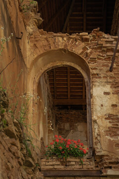 View of a weathered archway frames vibrant red flowers against crumbling brick, a testament to time's passage and enduring beauty, Cris, Transilvania, Romania.