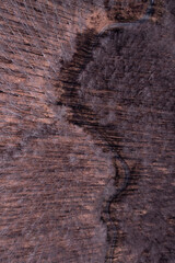 Winding dirt road through an autumn forest, seen from above