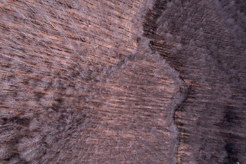 Winding dirt road through an autumn forest, seen from above