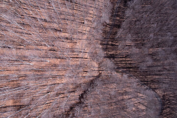 Winding dirt road through an autumn forest, seen from above
