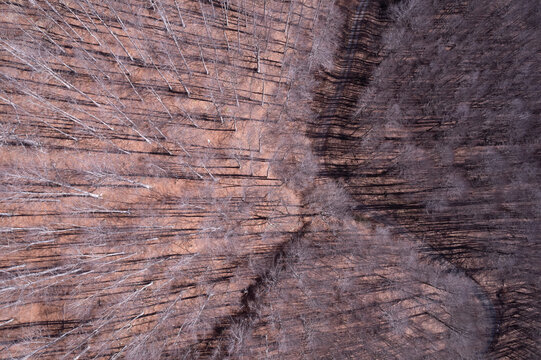 Winding dirt road through an autumn forest, seen from above