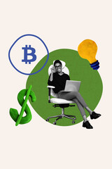 3d vertical artwork banner sketch photo collage of happy businesswoman surf laptop dollar coin income bitcoin profit light bulb
