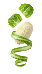 Fresh napa cabbage with green leaves spiraling and separated leaves isolated on white background, perfect for healthy cooking and vegetable recipes