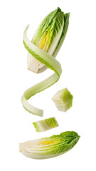 Fresh romaine lettuce leaves and slices isolated on white background, healthy vegetable ingredient perfect for salads