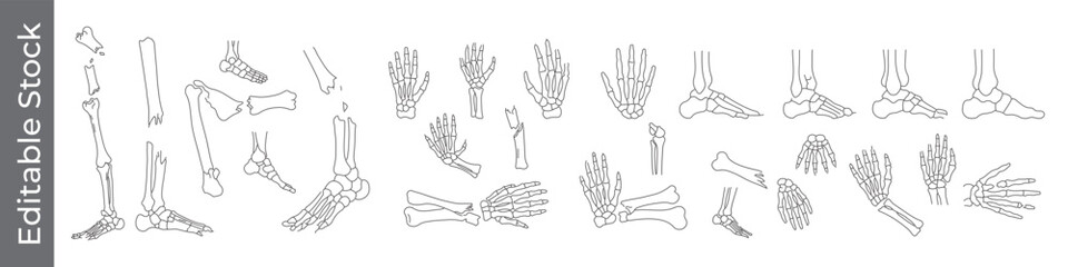 Hand and foot skeleton line icon set – editable outline symbols of hand bones, foot bones, wrist, ankle, fracture, broken and skeletal structure