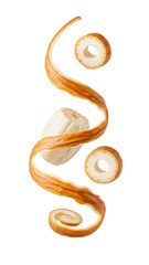 Long peeled white lotus root slice with peel spirals isolated on white background, fresh aquatic vegetable perfect for cooking and healthy recipes