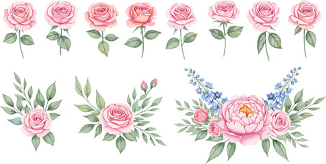 Large collection of individual pink rose stems and elegant floral arrangements with blooming peony and blue flowers isolated on white background vector.