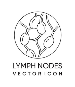 Lymph nodes gland icon in thin line - adaptive immune system