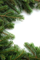 Festive evergreen pine branches framing a white background for holiday designs