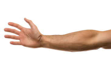 Human Arm Reaching Out isolated on a transparent background
