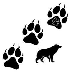 Wildlife paw prints and wolf silhouette © Sp
