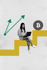 Poster image banner collage of happy businesswoman hold laptop arrow bitcoin profit success income...