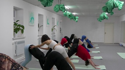 Diverse people training in group yoga session at studio. - Powered by Adobe