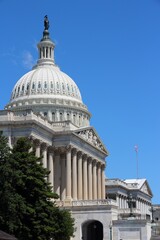 Obraz premium US National Capitol. American landmark in Washington, DC. United States Capitol.