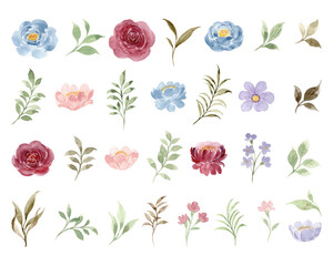 Watercolor Flower and Leaf Elements Clipart Set