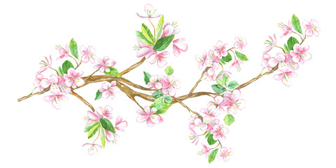 Fototapeta premium Floral border. Cherry, apple, sakura blossom. Easter spring flowers. Stock illustration. Hand painted in watercolor. 