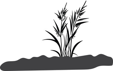 grass on white background, Grass Leaf Vector, Black & White Grass Vector, Grass Leaf Drawing