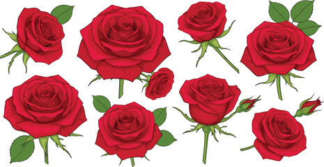 Fototapeta premium Elegant wedding invitation template set featuring red tulip flowers on a pink watercolor background romantic spring floral vector illustration for celebration.