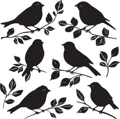 Black bird silhouette nature wildlife vector on bare tree branch sitting birds set
