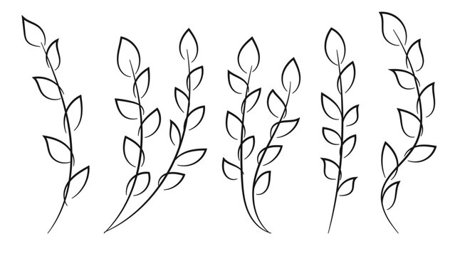 Hand drawn floral elements collection.Vector illustration