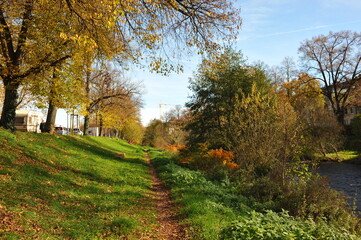 Fototapeta premium Serene green pathway beside flowing water, Idyllic rural landscape with lush greenery and gentle streams