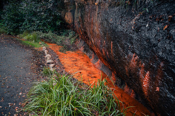  Highangle Shot The Natural