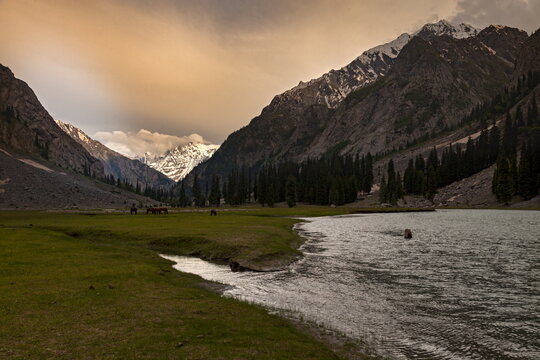 View of the serene lake reflecting the dramatic mountain peaks, with green meadow, and the golden sunset casting shadows in Kalam, Khyber Pakhtunkhwa, Pakistan.