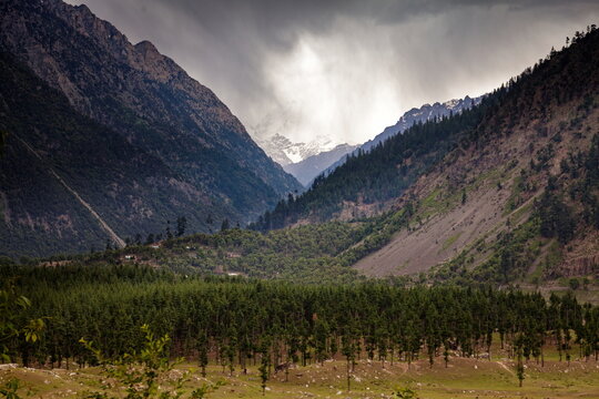 View of steep, forested mountains frame a valley floor in the distance under a cloudy sky, snow-capped peaks peeking through the divide, Kalam, Khyber Pakhtunkhwa, Pakistan.