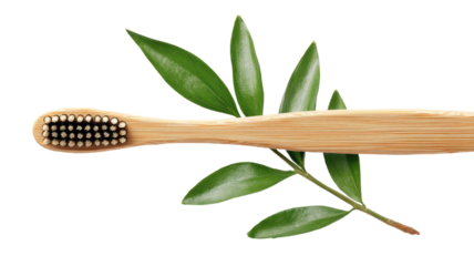 Bamboo toothbrush with green leaves eco friendly natural oral hygiene product studio photography isolated on white background