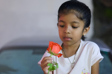 Girl looking at red rose in a simple background