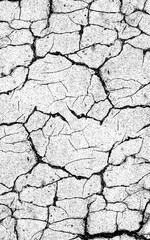 Cracked earth surface with dry mud and sand texture isolated on transparent background