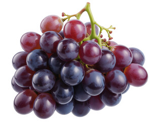 Fototapeta premium Bunch of red and purple grapes on green stem isolated on a transparent background