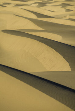View of undulating sand dunes cast long shadows under a bright sky, creating a mesmerizing dance of light and shadow in the desert landscap, California, United States.