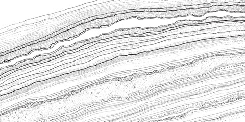 Abstract geological strata texture with fine lines and layers. © plustration