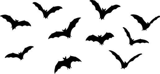 Flying Bat Silhouettes Collection