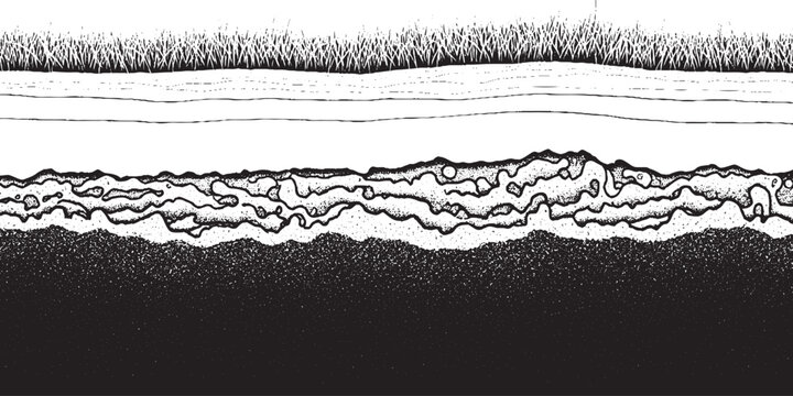 Detailed CrossSection of Soil Layers with Grass and Underground Structures.