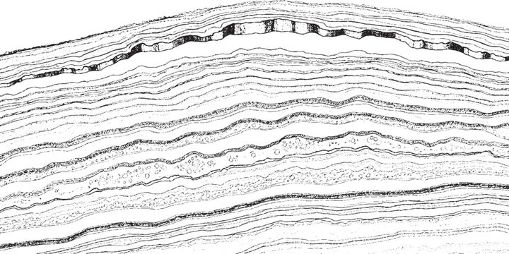 Seismic Reflection Data Showing Stratified Layers of Earths Subsurface.