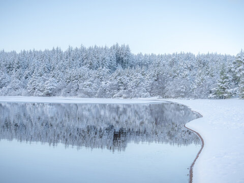 View of a serene, snow-laden forest mirroring its frosty visage on the tranquil waters, painting a picture of winter's soft embrace, Caledonian Forest, Cairngorms National Park, Scotland.