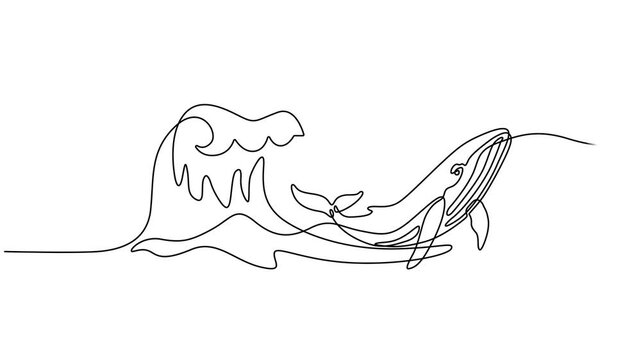 Animated self drawing of continuous one line draw wild whale fish swimming in sea life. Marine animal digital concept. Blue whale and scuba diver under ocean water. Full length single line animation