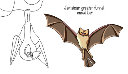 Jamaican greater funnel-eared bat