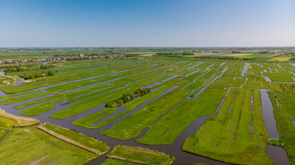 Aerial view of vibrant green fields intersected by dark waterways creating a stunning patchwork landscape under a clear sky, Grootschermer, North Holland, Netherlands.