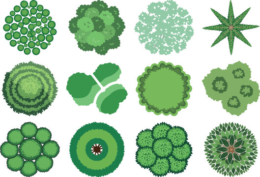 Collection of various green algae and cyanobacteria microorganisms