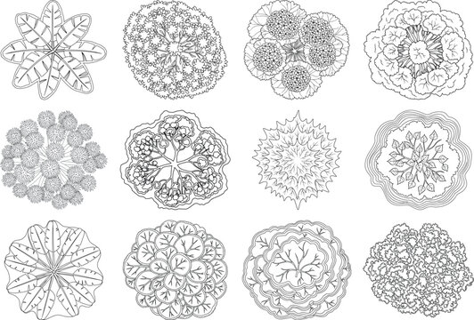 Collection of nine intricate circular patterns with floral and geometric designs