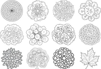 Collection of intricate floral patterns and botanical designs in black and white