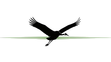 Silhouette of a soaring bird with outstretched wings in stark contrast against a minimalist