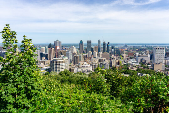 View of vibrant green trees framing a sprawling cityscape under a vast, bright sky, where modern skyscrapers pierce the horizon, Montreal, Quebec, Canada.