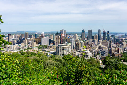 View of the sprawling urban landscape, where modern skyscrapers rise above the lush green foliage, casting shadows on the vibrant city below, Montreal, Quebec, Canada.