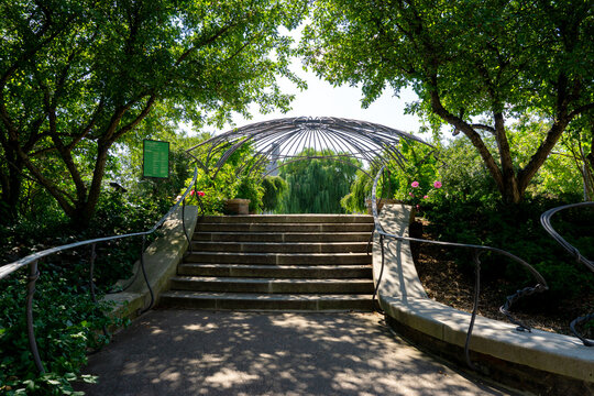 View of stone steps leading upwards through an arched trellis entwined with lush greenery, framed by trees casting dappled shadows, Toronto, Ontario, Canada.